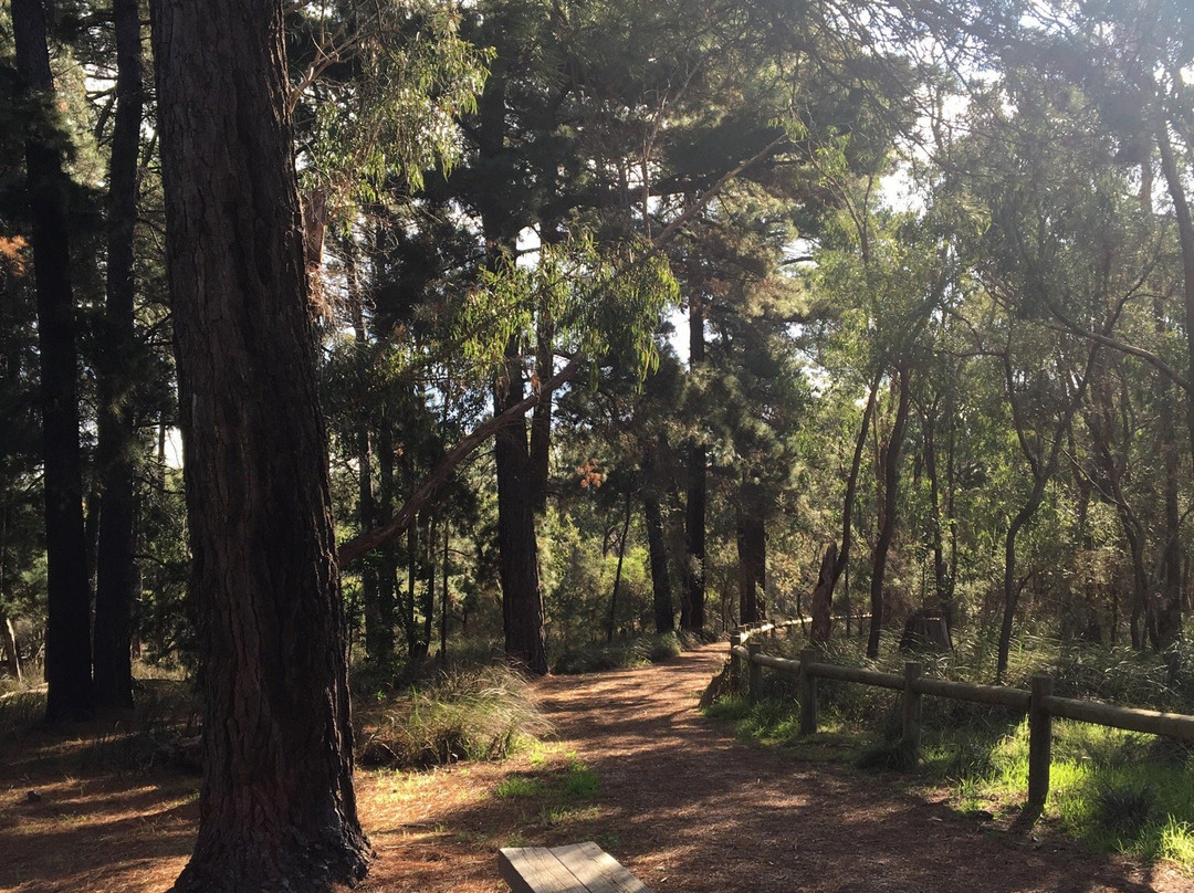 RE Gray Reserve-鲁纳沃丁必去景点