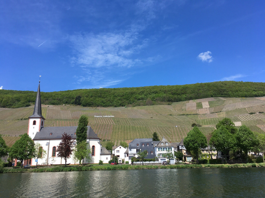 Weinschiff Neumagen Dhron景点图片