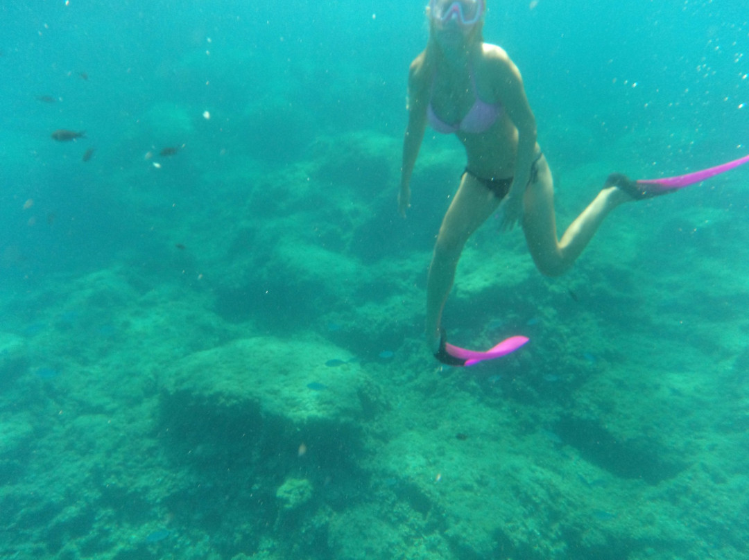 Sandra's Sea Fun-罗德斯必去景点