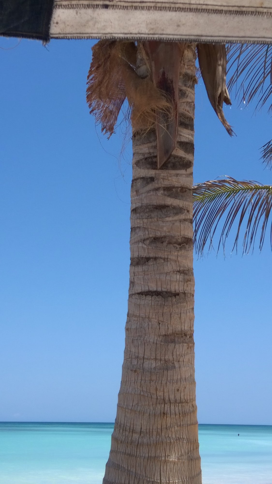 Casa Villa Cayo Jutias-泳池