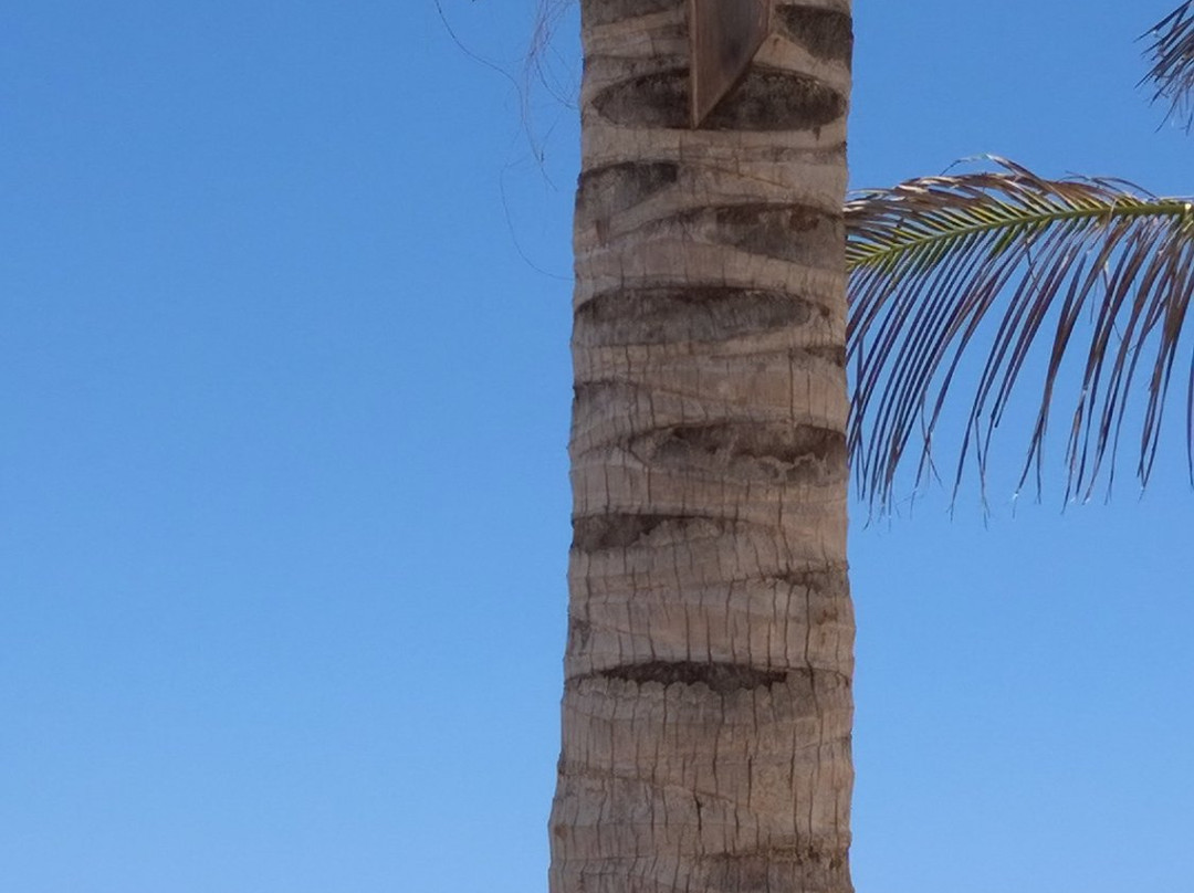 Casa Villa Cayo Jutias主图