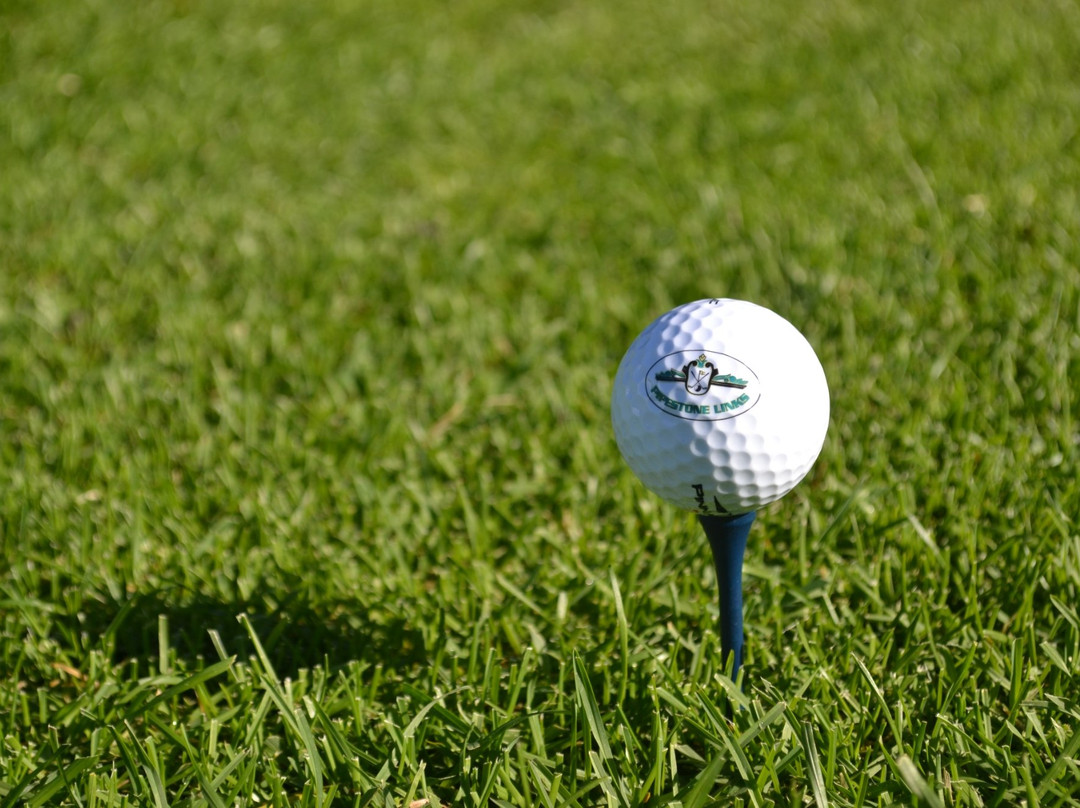 Pipestone Links Golf Course and RV Park-Millet必去景点