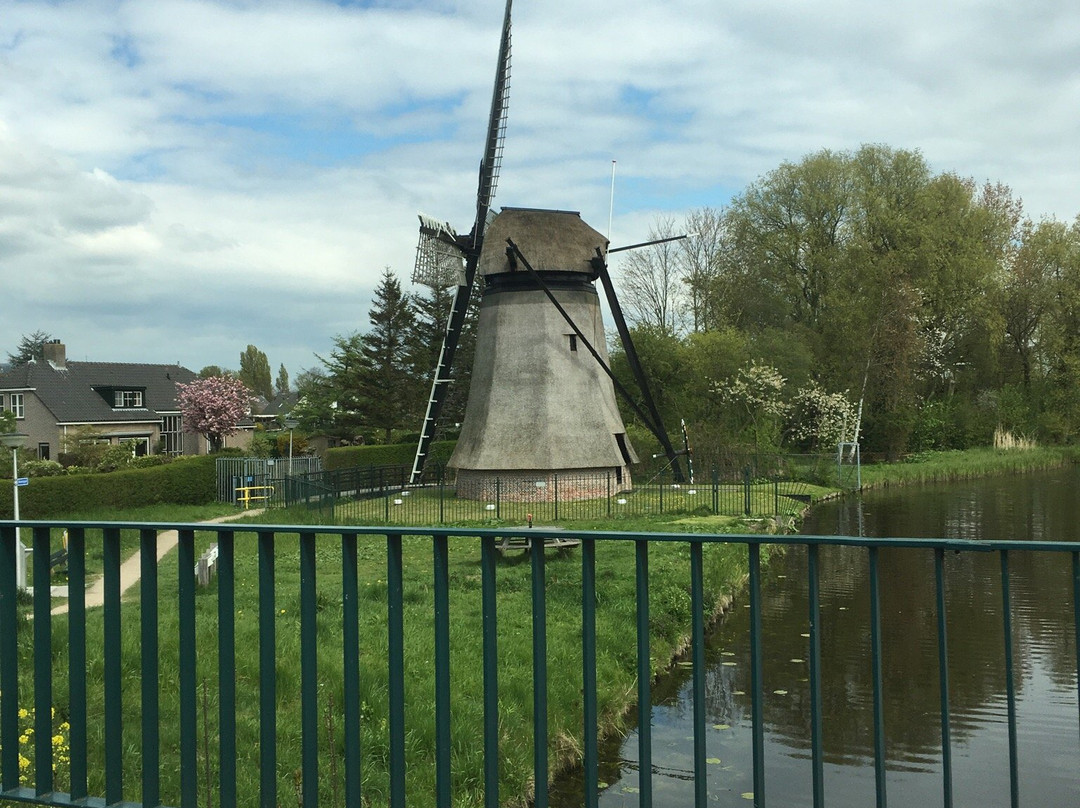 Poldermolen van de Zemelpolder-利塞必去景点