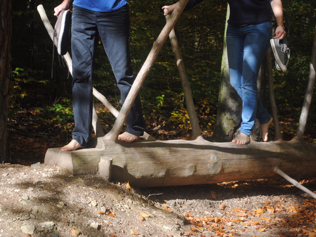 Waldaktivpfad Schlat-Schlat必去景点