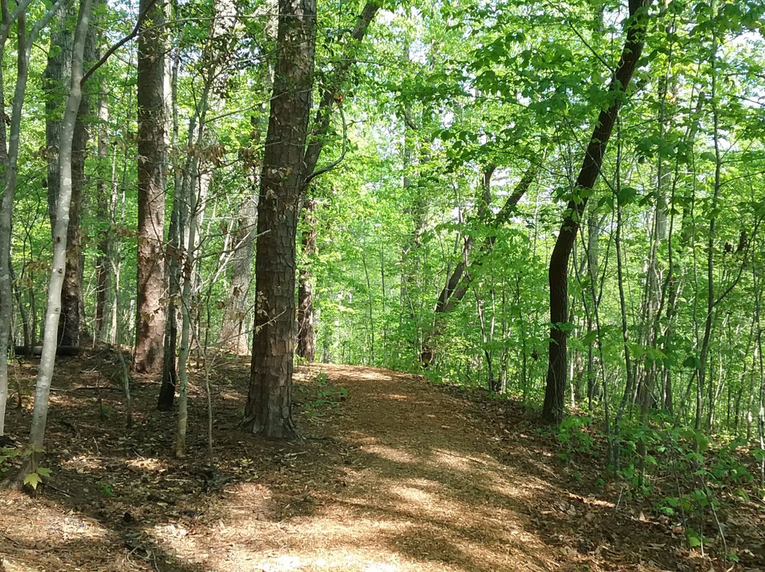 Hemlock Bluffs Nature Preserve景点图片