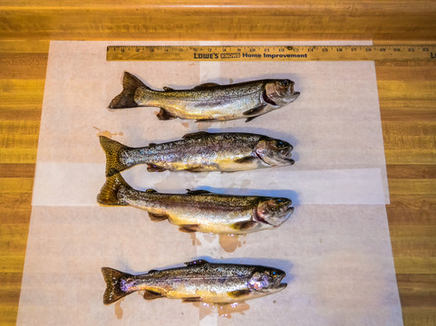 Wagner's Mammoth Pool Resort-North Fork必去景点