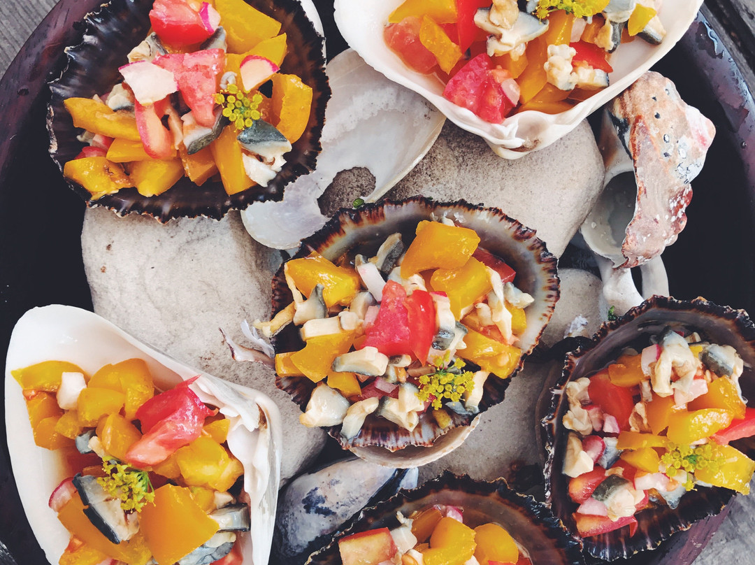 Veld and Sea-Cape Point必去景点