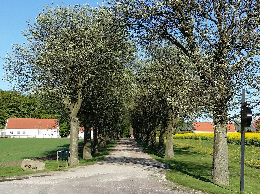 Svalov旅游攻略图片