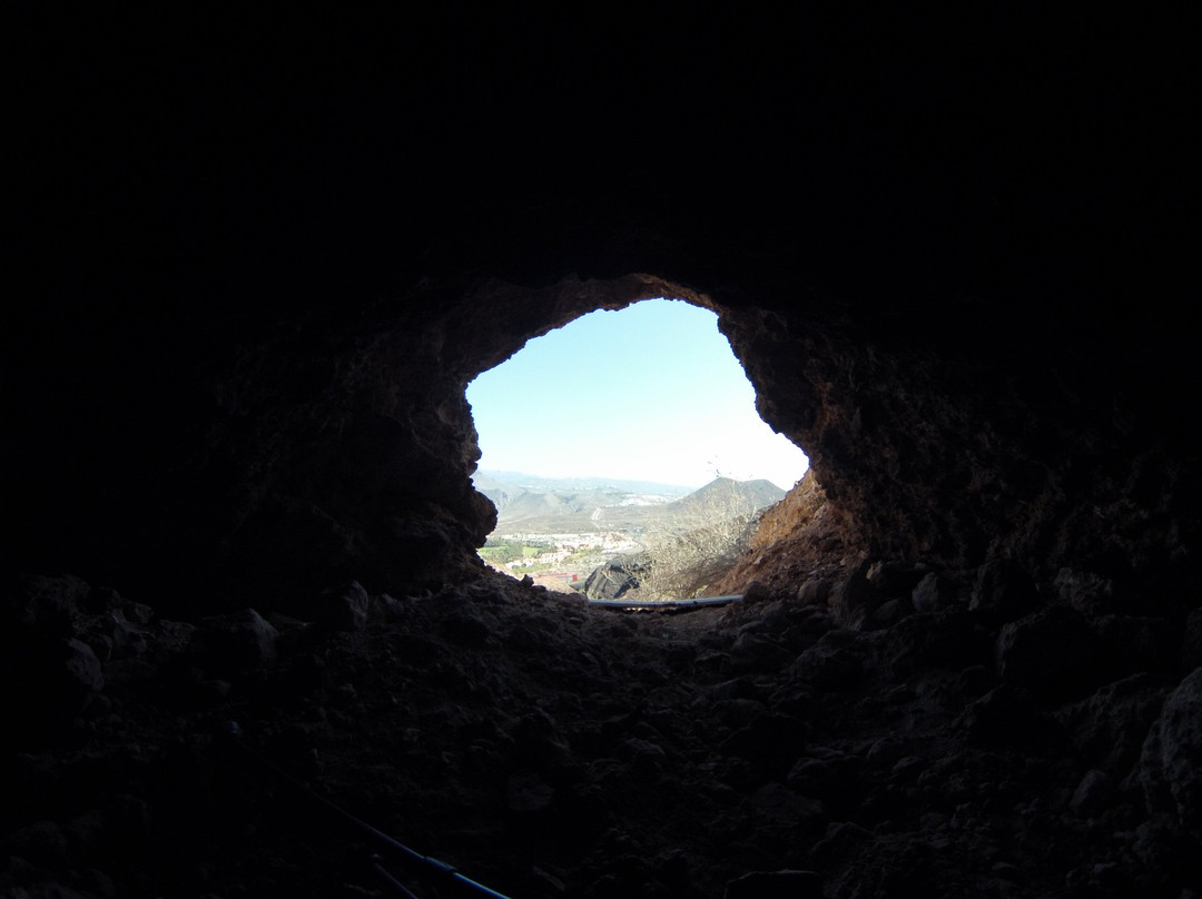 Eco-Tours Tenerife-洛斯克里斯蒂亚诺斯必去景点