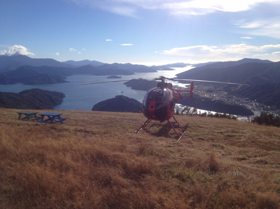 Coast to Coast Helicopters-皮克顿必去景点