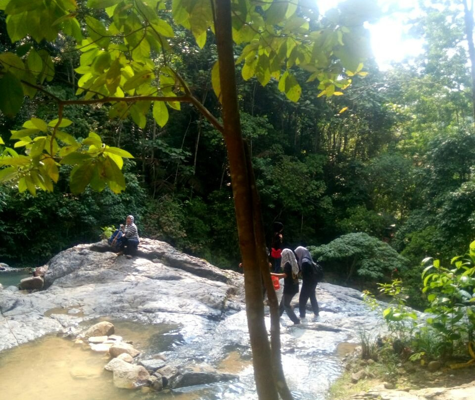 Pulai Waterfall景点图片