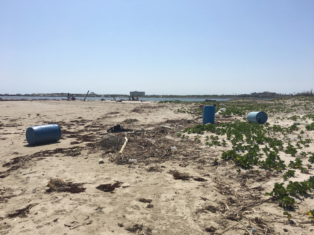 San Jose Island-阿兰瑟斯港必去景点