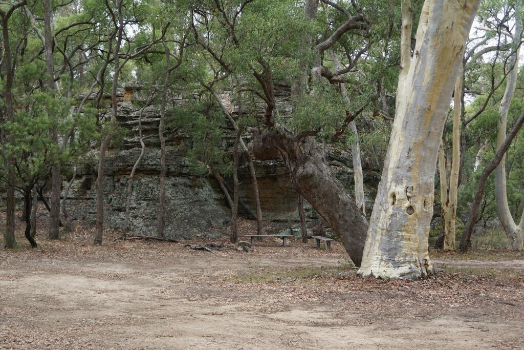 Hands on Rock-Gulgong必去景点