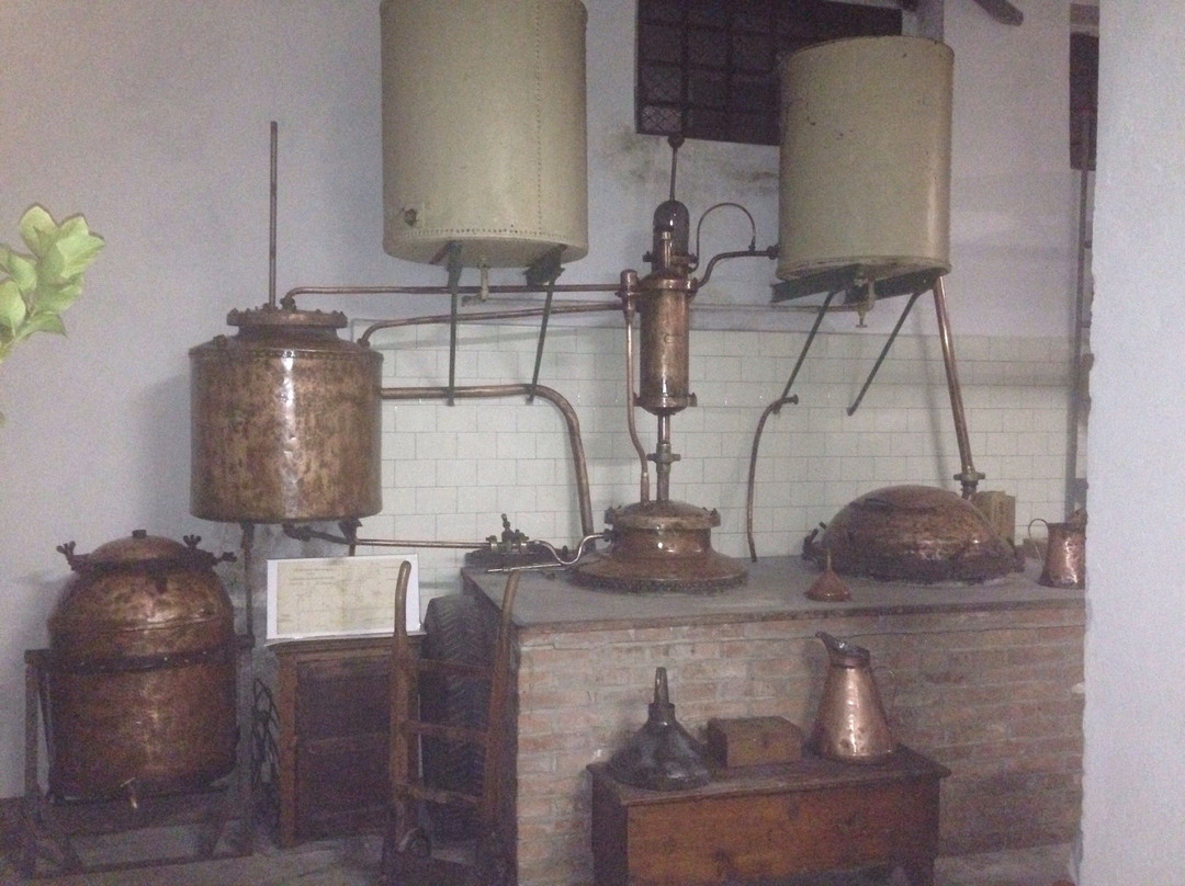Distillerie Cortese-Saint-Vincent必去景点