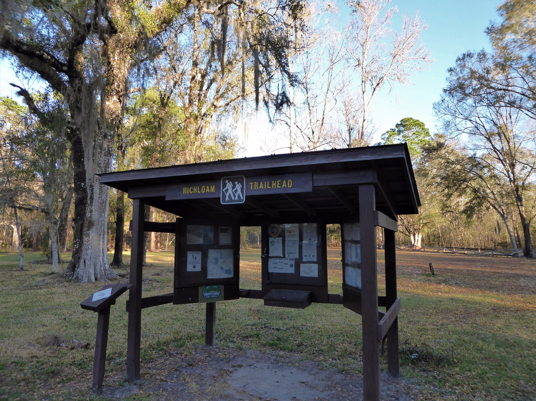 Richloam Fire Tower Trailhead-Webster必去景点