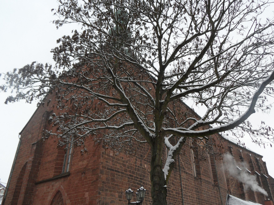 St. Martinskirche景点图片
