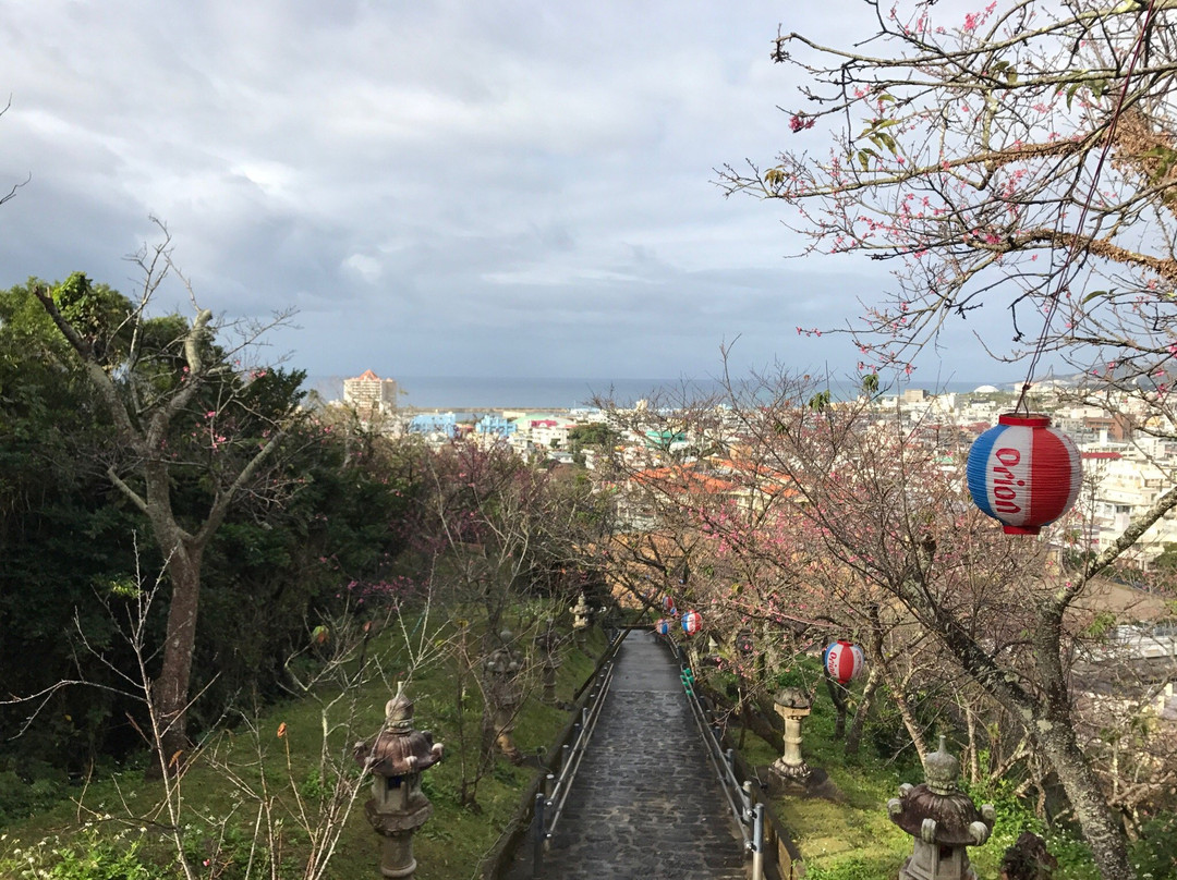 Nago Cherry Blossom Matsuri-名护市必去景点