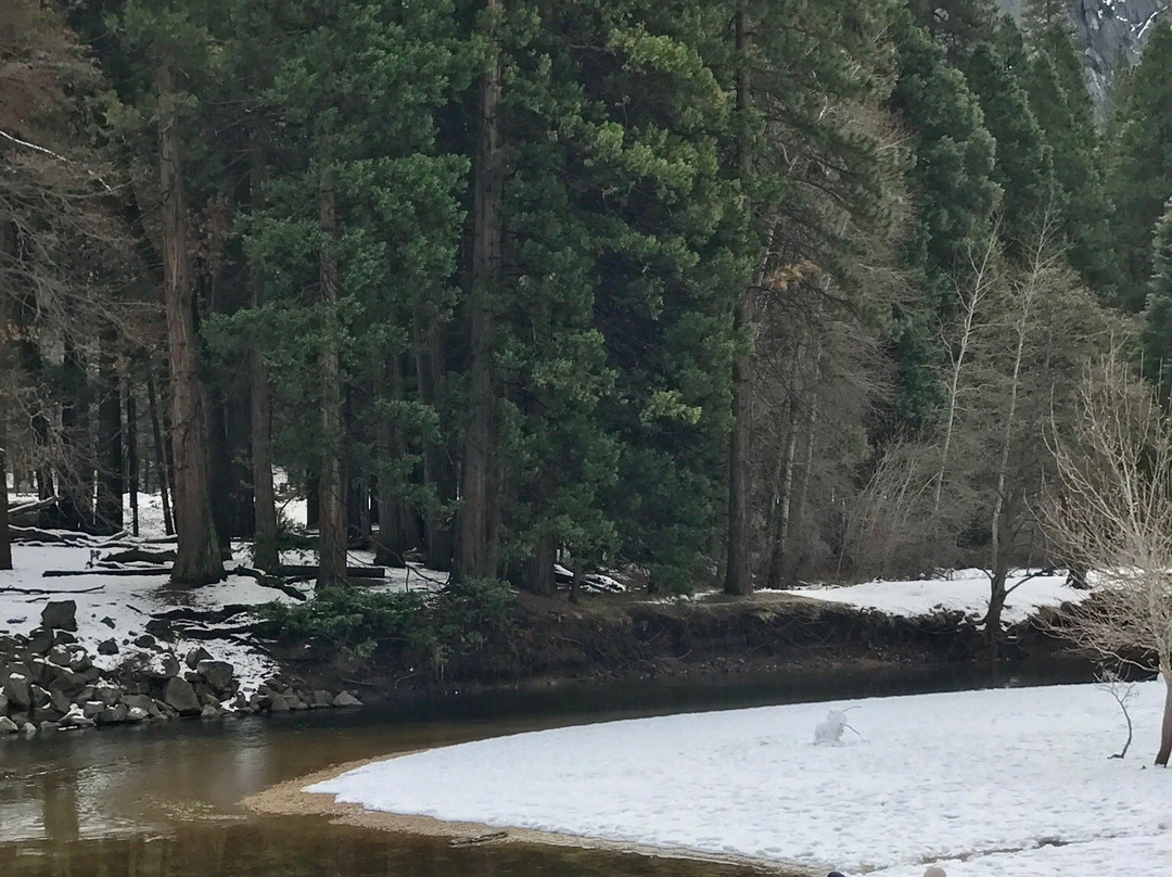 Elizabeth Lake-优胜美地国家公园必去景点