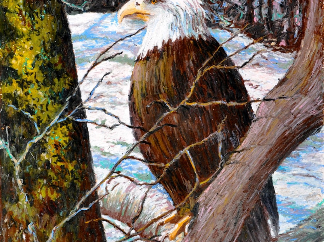 SAC's Gallery-蒙哥马利必去景点