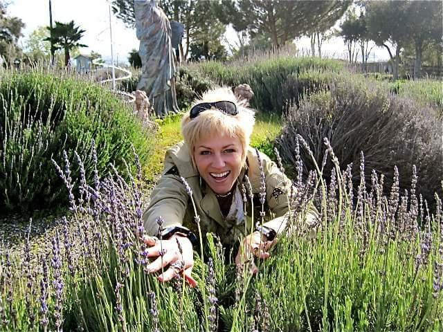 Clairmont Farms-洛斯奥利沃斯必去景点