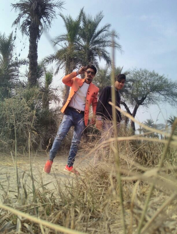 Nehru Rose Garden-卢迪亚纳必去景点