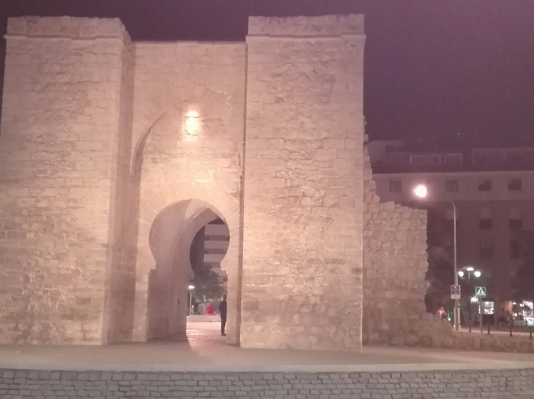 Puerta de Toledo景点图片