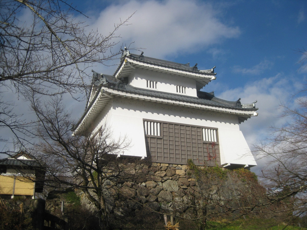 Echizen Ono Castle景点图片