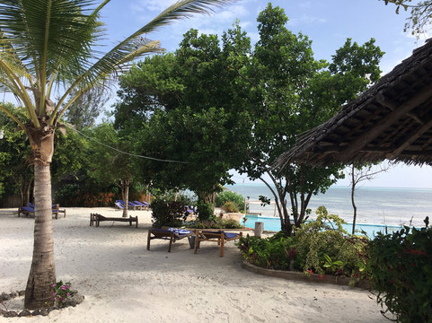 Marafiki Bungalows主图