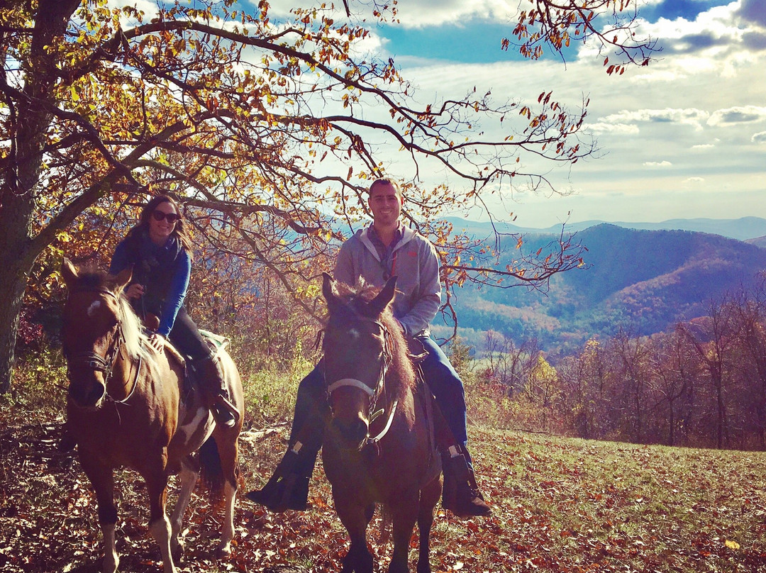 Mountaintop Ranch Wilderness Trail Rides-Elkton必去景点