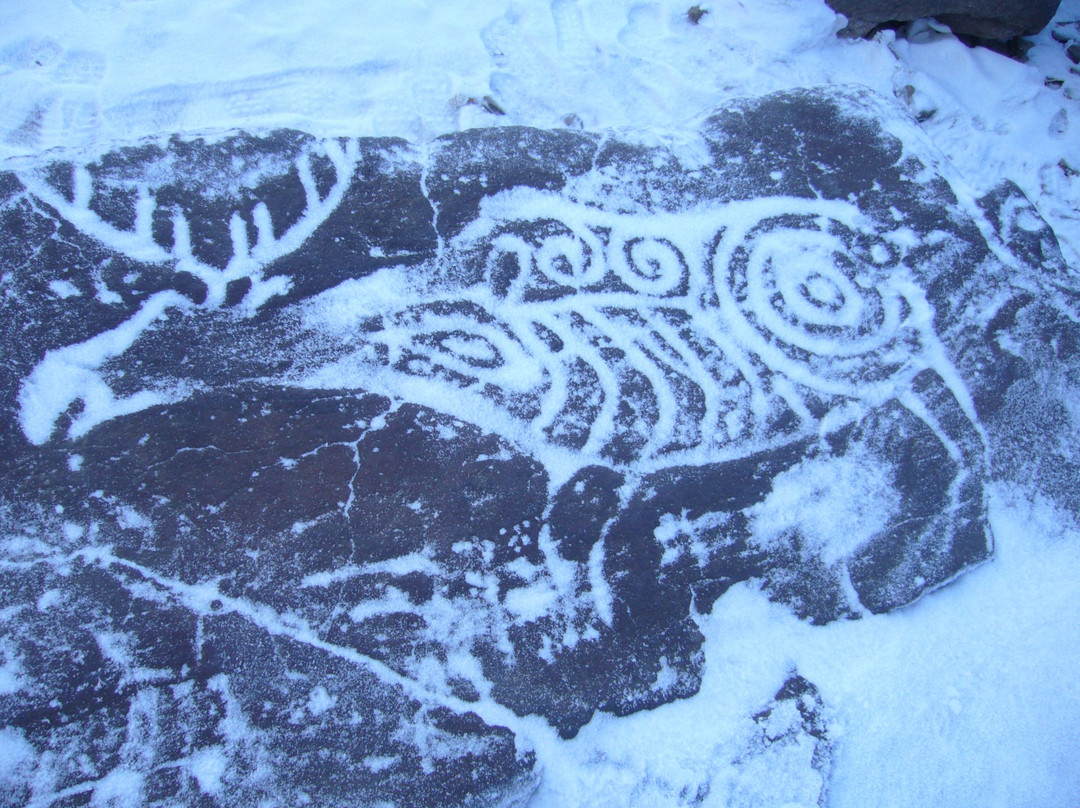 Petroglyphs Sikachi Alyan-Sikachi Alyan必去景点