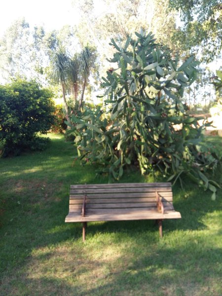 Caminho小屋-家庭/游戏区