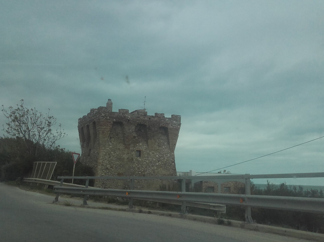 San Giacomo degli Schiavoni旅游景点-Torre del Sinarca