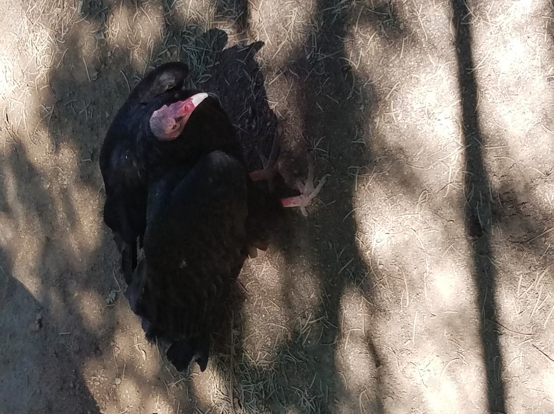 Wildhaven Ranch-箭头湖必去景点