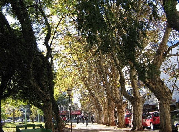 Praça Tamandare景点图片