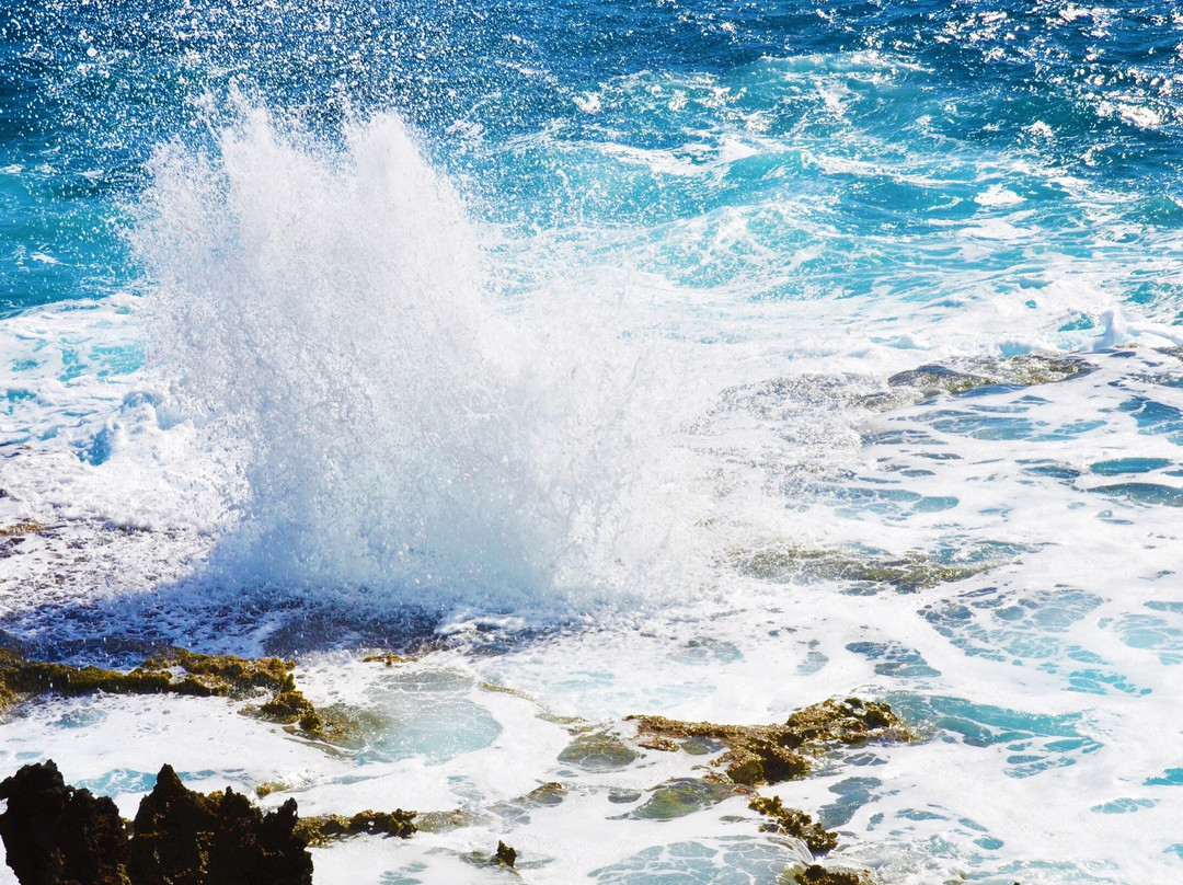 Suicide Cliff (Tinian)-Tinian必去景点