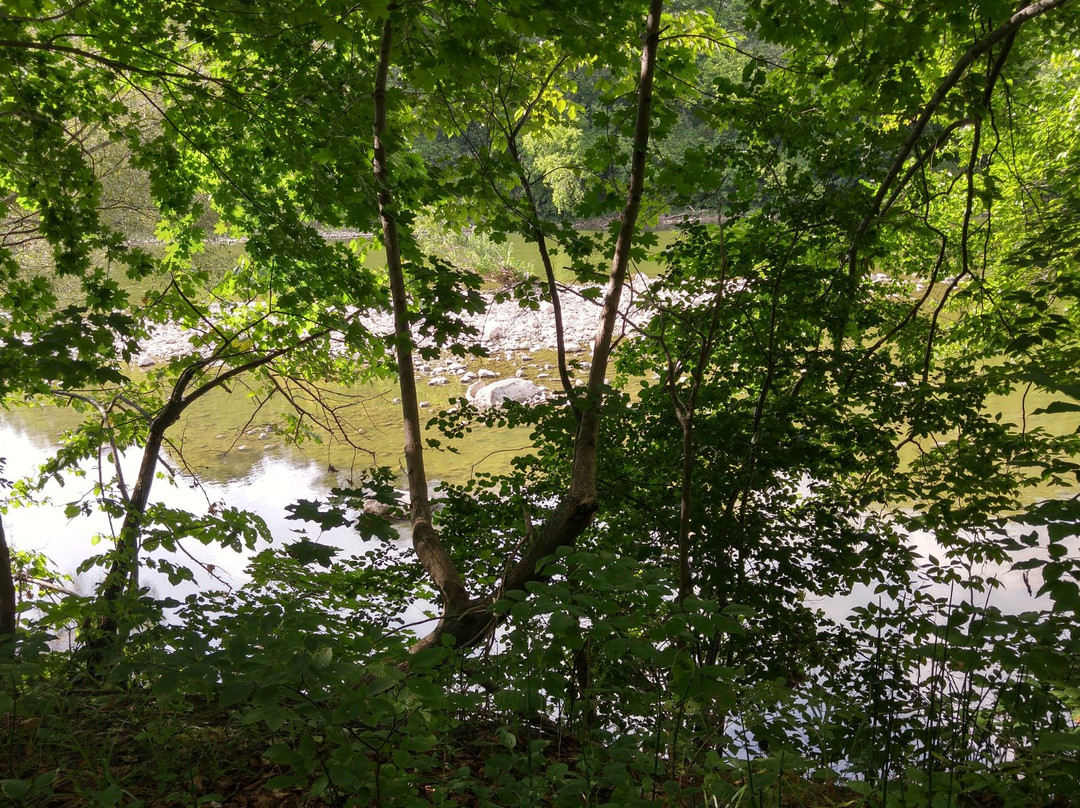 Kains Woods-伦敦必去景点