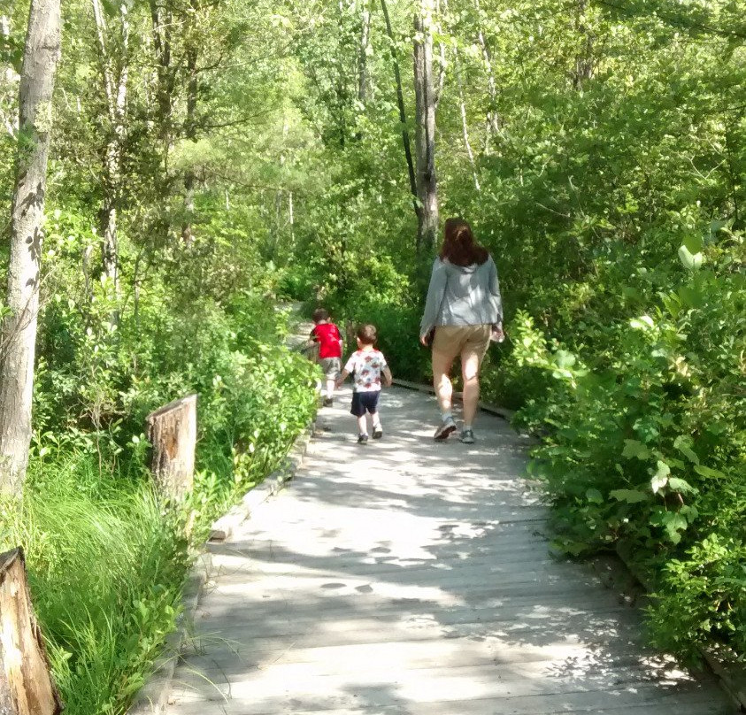 Ossipee Lake Trail景点图片