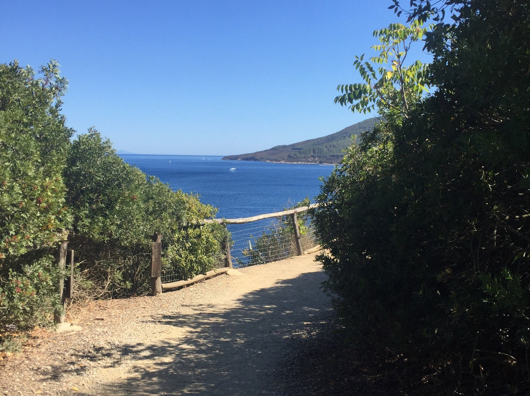 Spiaggia di Barbarossa景点图片