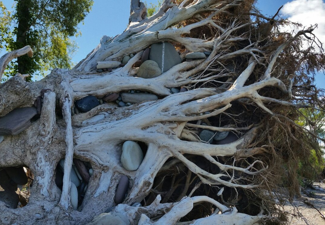 Sterling Nature Center景点图片