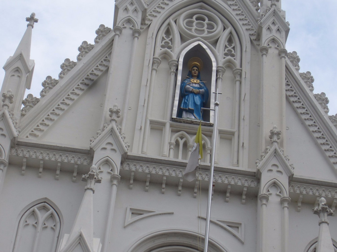 Bible Tower景点图片