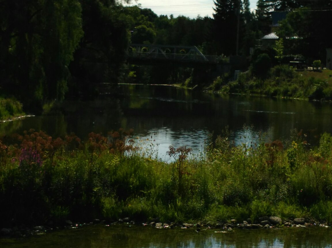 Veteran's Park-伊劳拉必去景点