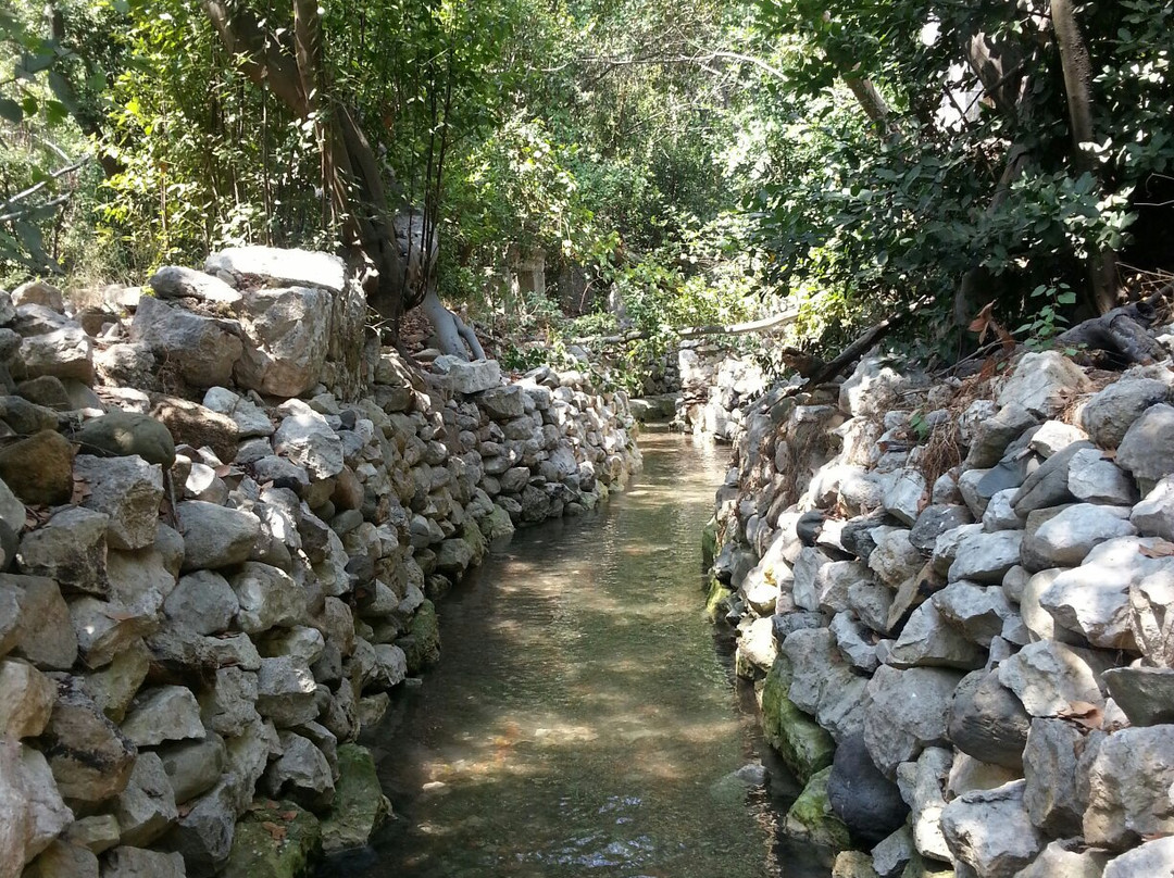 Yazir酒店住宿-Olimpos Zeytin Pansiyon