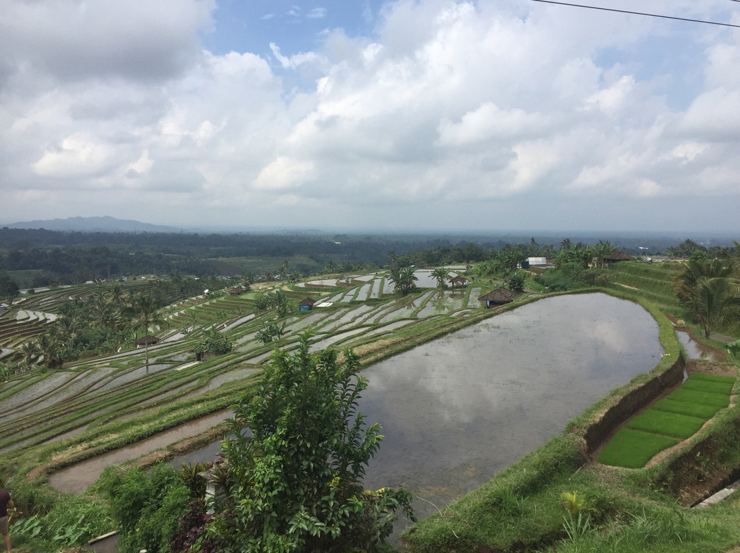 Guide Nyoman Lingga-Beraban必去景点