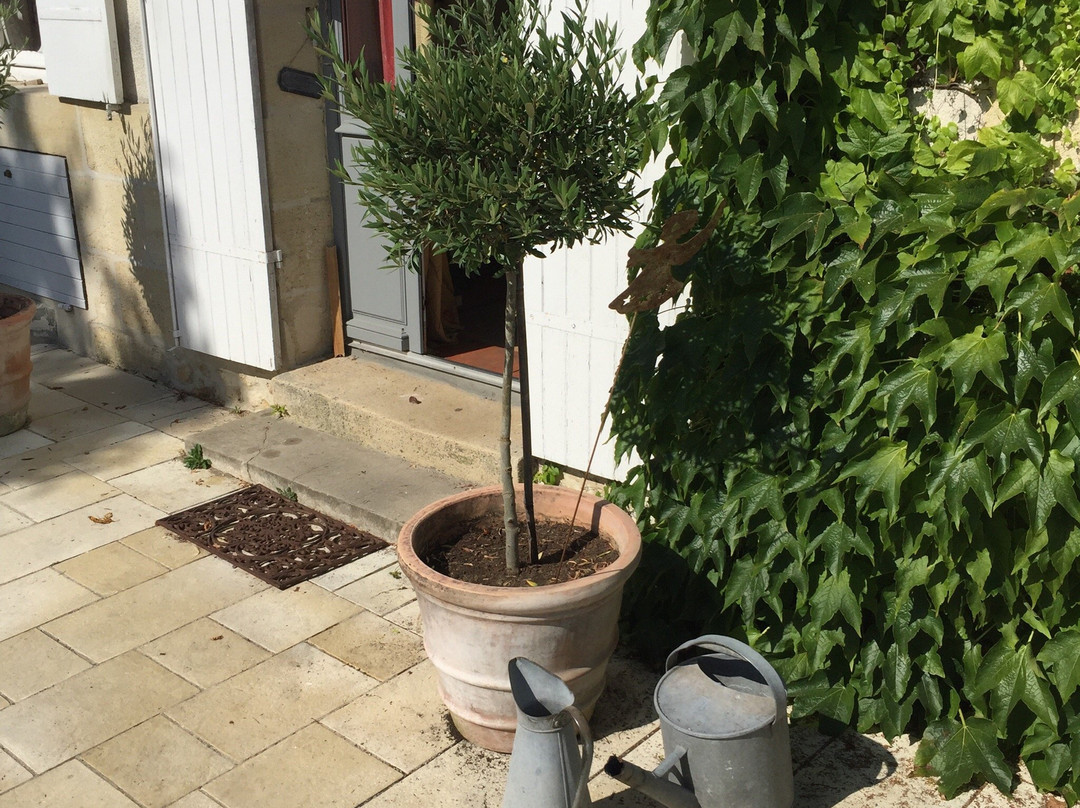 博塞茹尔城堡住宿加早餐旅馆主图