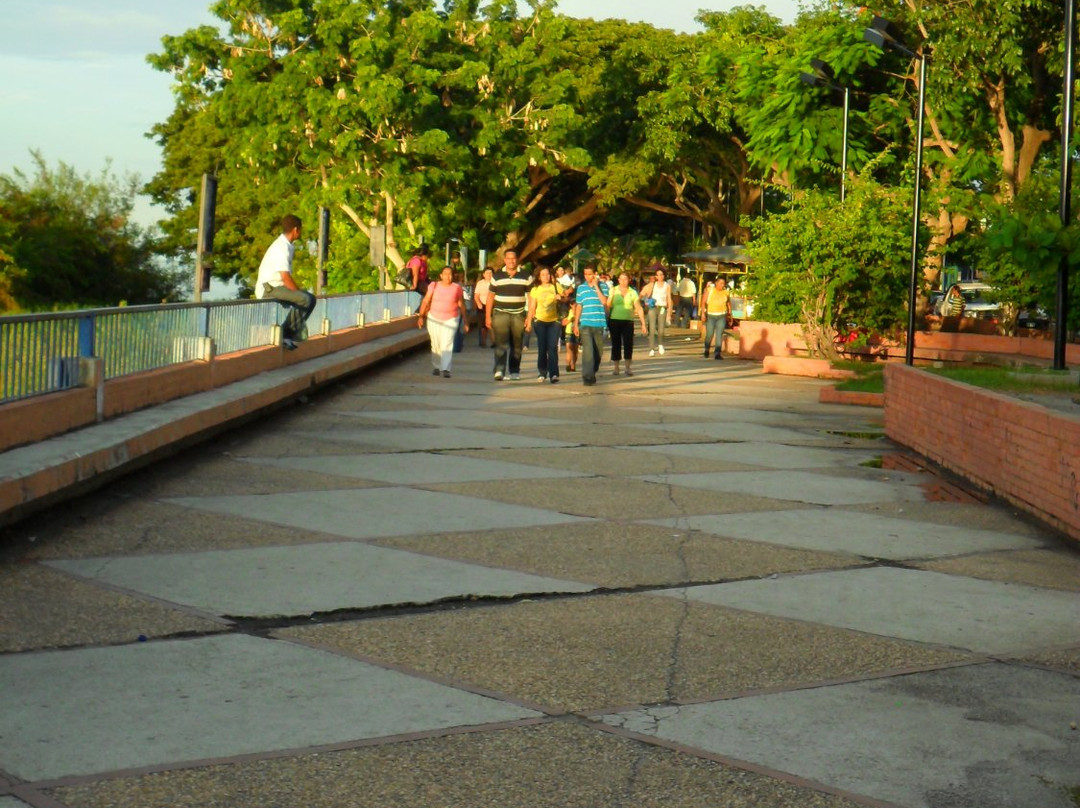 Paseo Orinoco景点图片