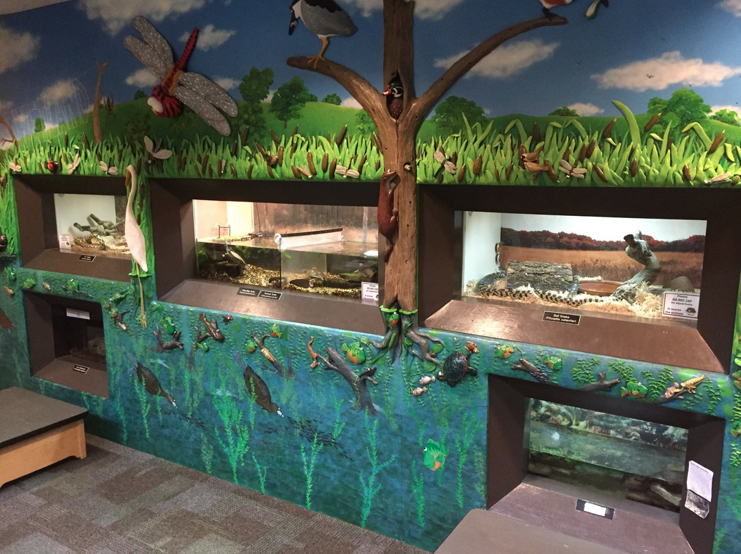 Hyland Lake Park Reserve-布卢明顿必去景点