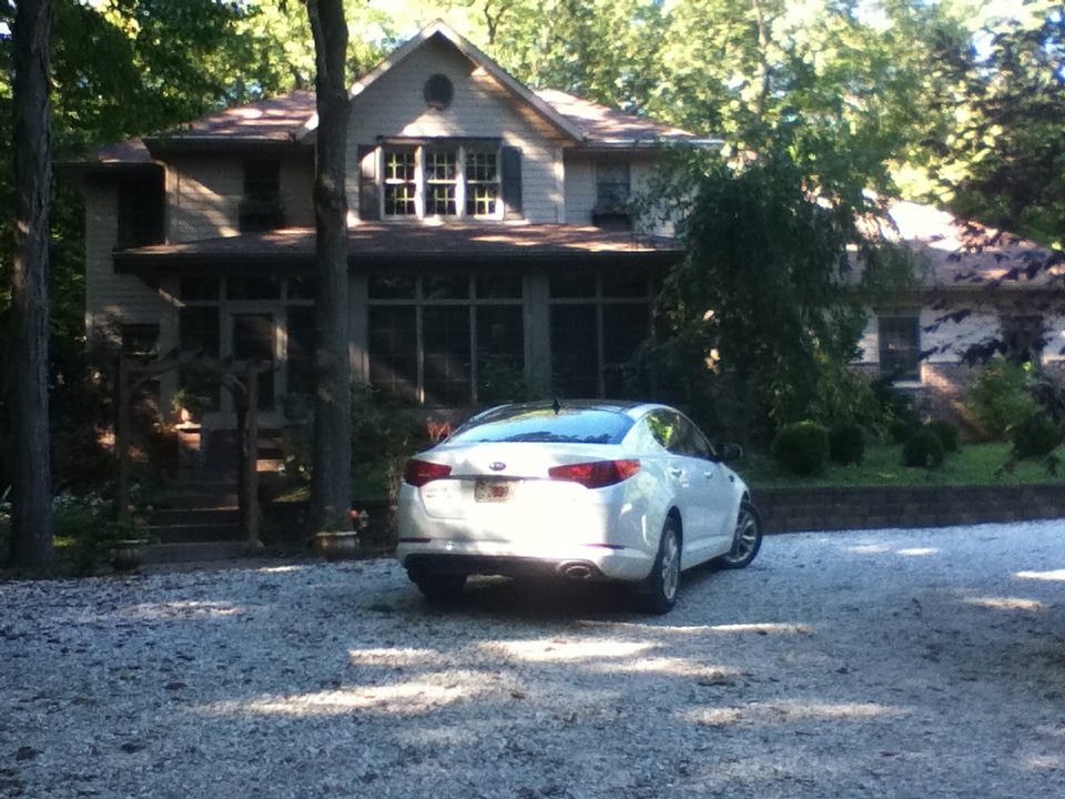 Blossom White Bed and Breakfast主图