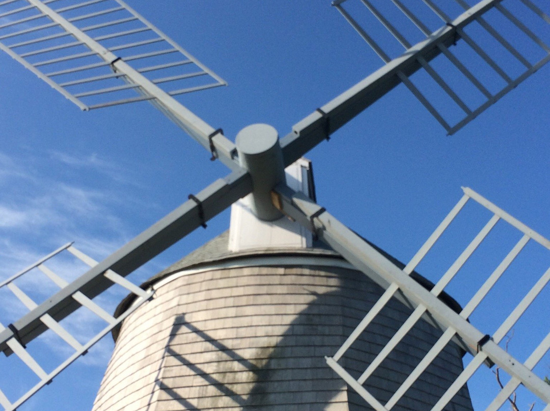 Jonathan Young Windmill景点图片