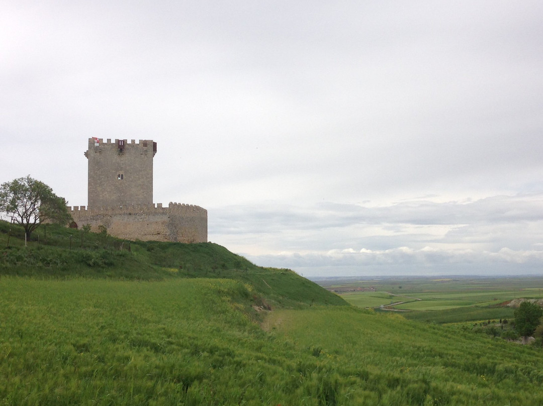 Castillo de Tiedra景点图片