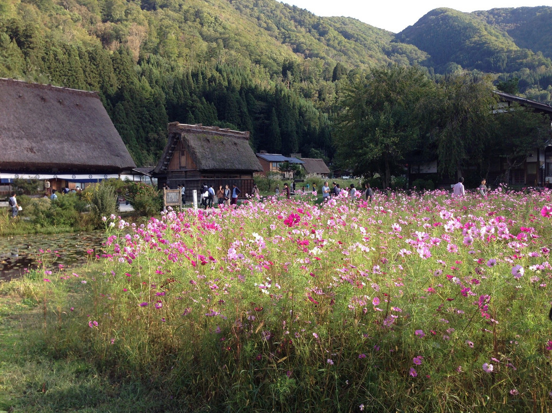 长久手市旅游攻略图片